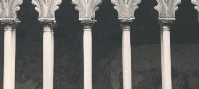 elena-povoledo