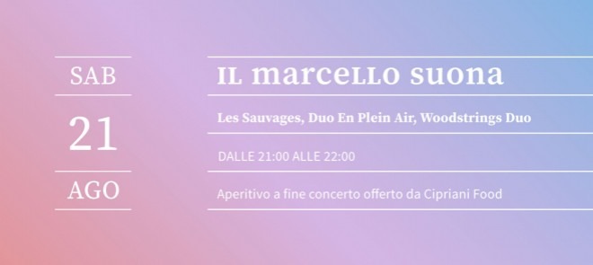 les_sauvages_duo_en_plein_air_woodstrings_duo