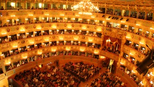 fenice5