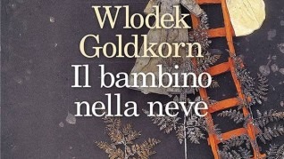 goldkorn_x_gdm