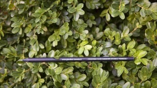 wig_wam